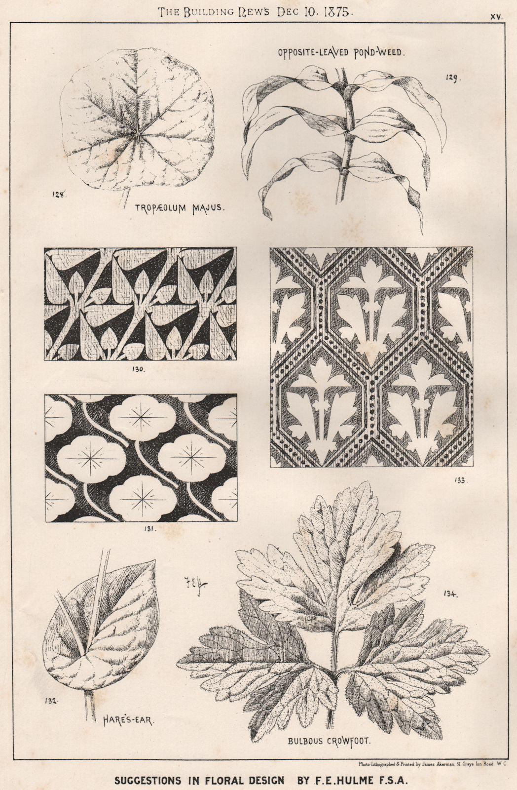Suggestions in Floral; Design by F.E. Hulme F.S.A.. Decorative (13) 1875 print